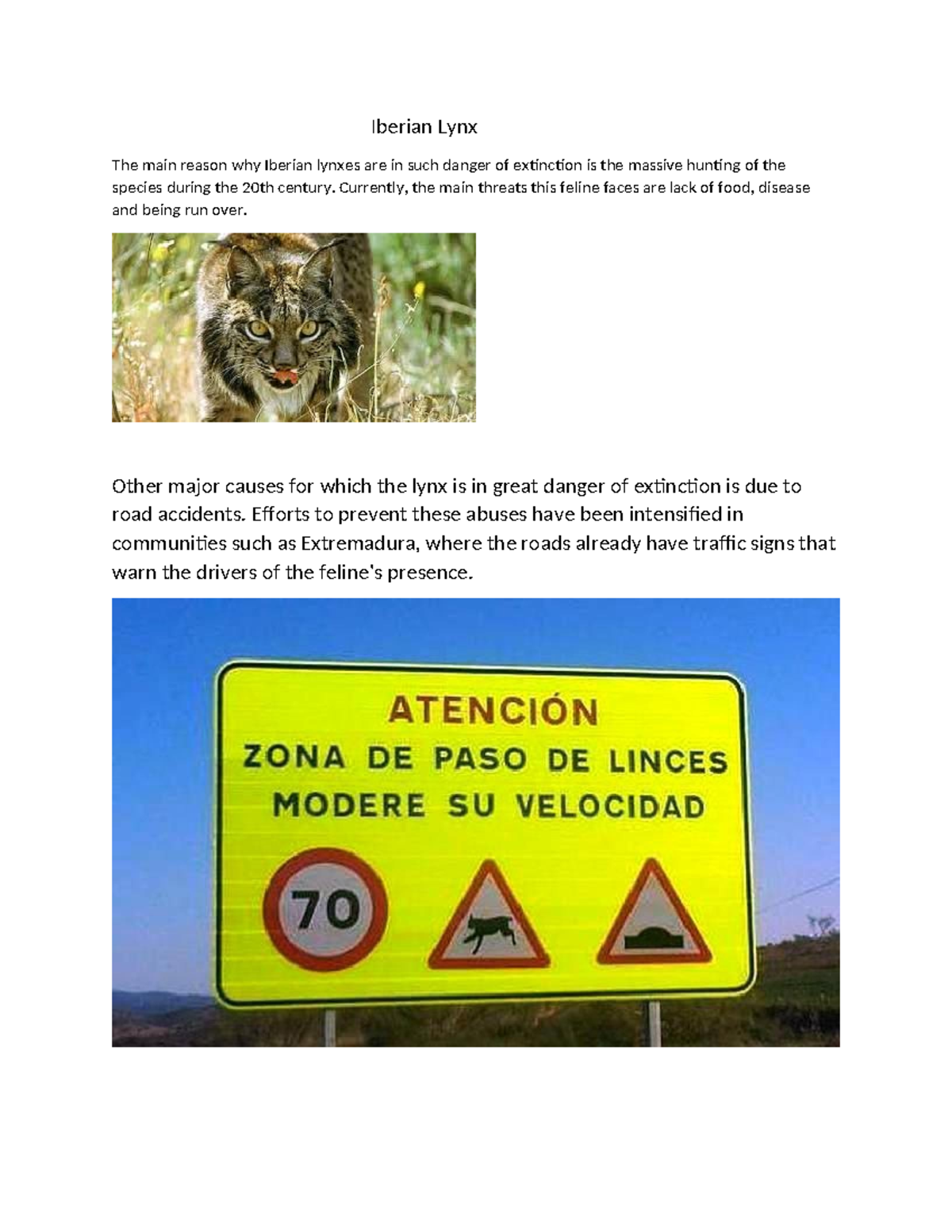 Lynx - Summary EAP Writing VI - Iberian Lynx The main reason why ...