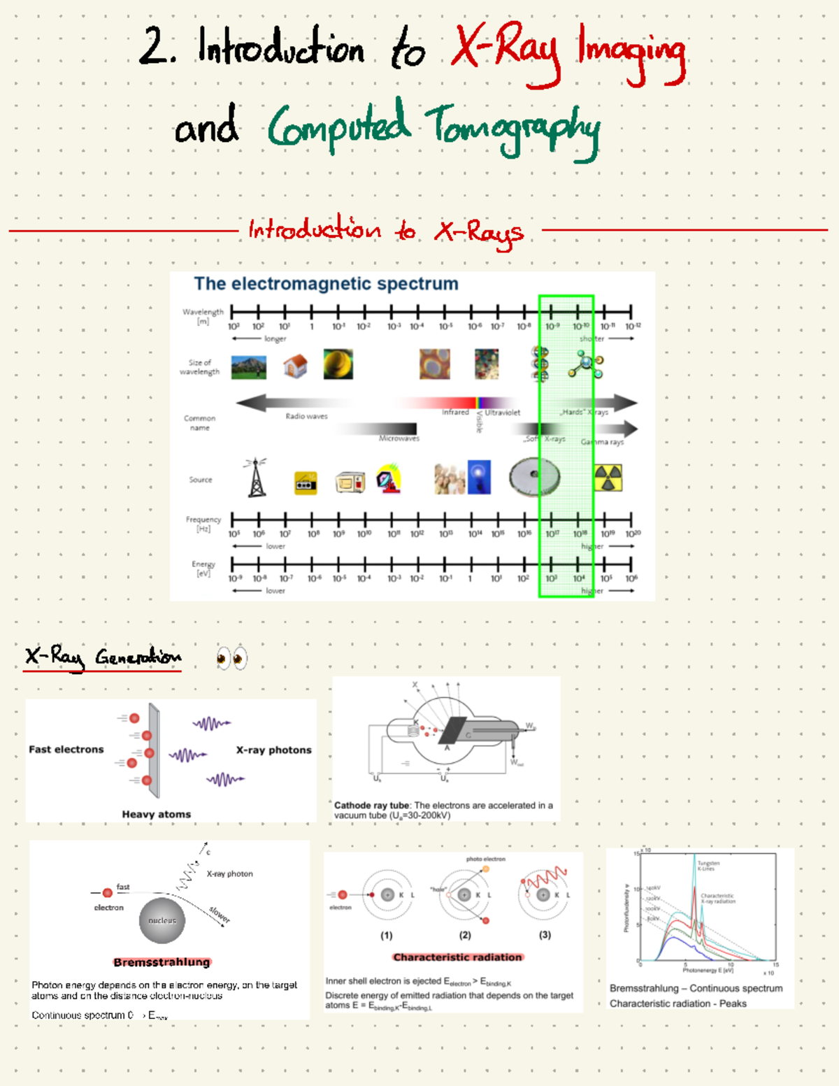 Summary Lecture 2 - Introduction to Biological Imaging - 2 ...