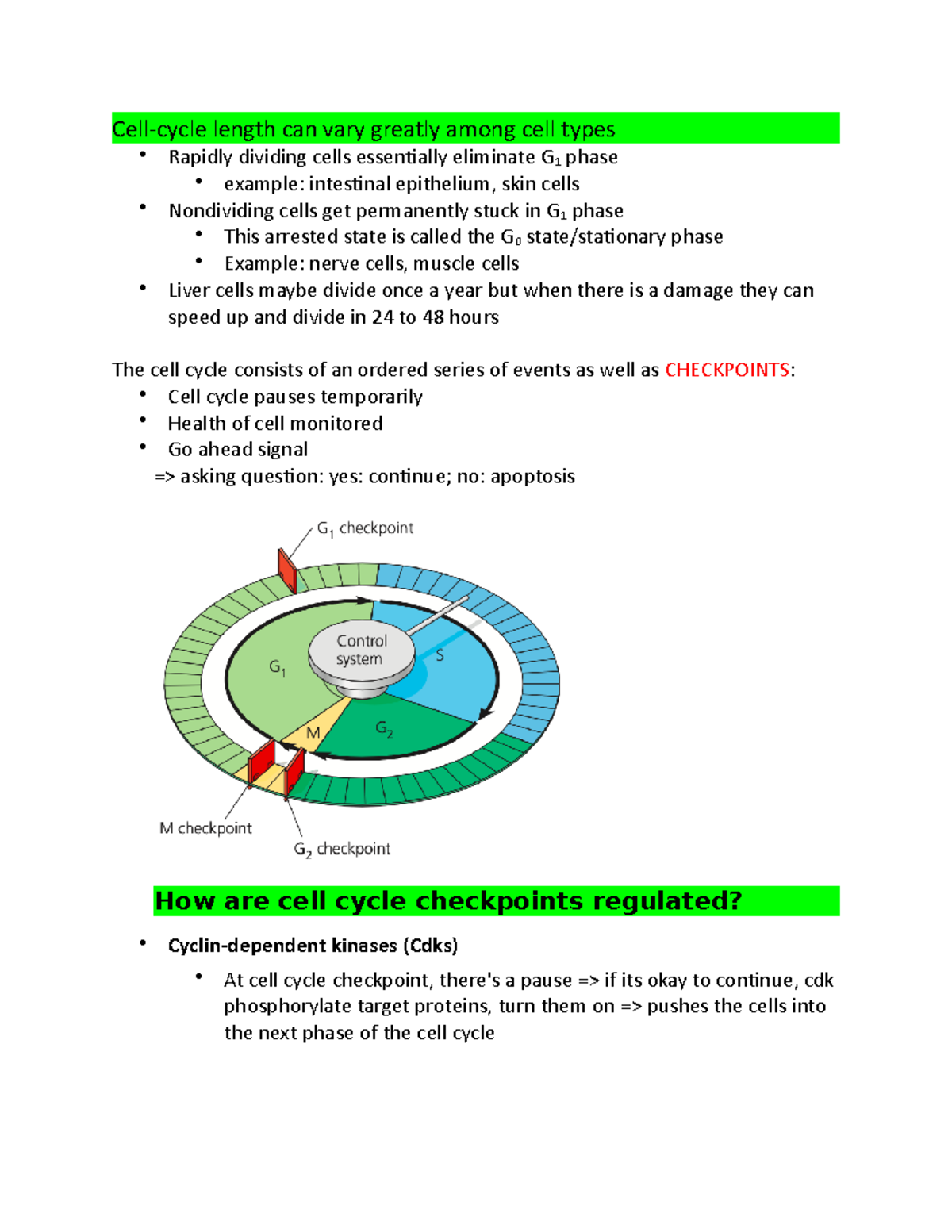 Chapter 12 12.3 Cell cycle controls - Cell-cycle length can vary ...