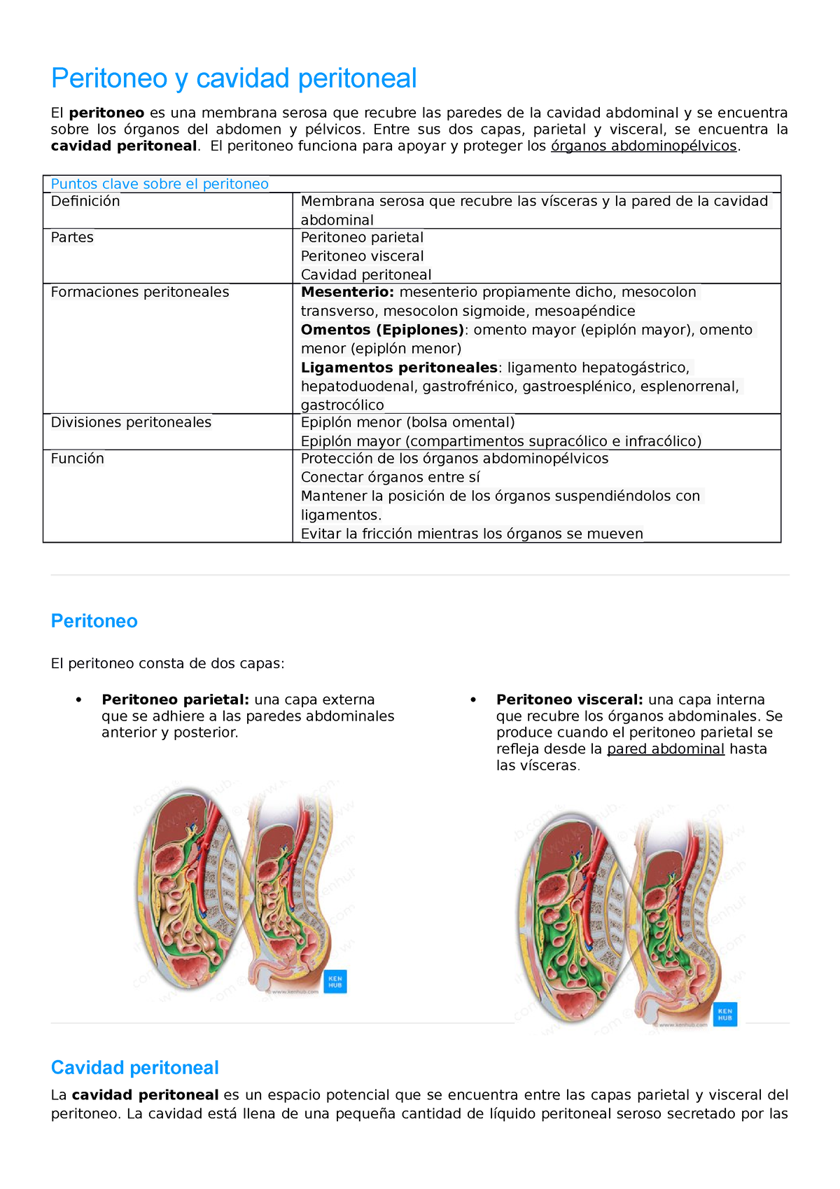 peritoneo visceral vs peritoneo parietal