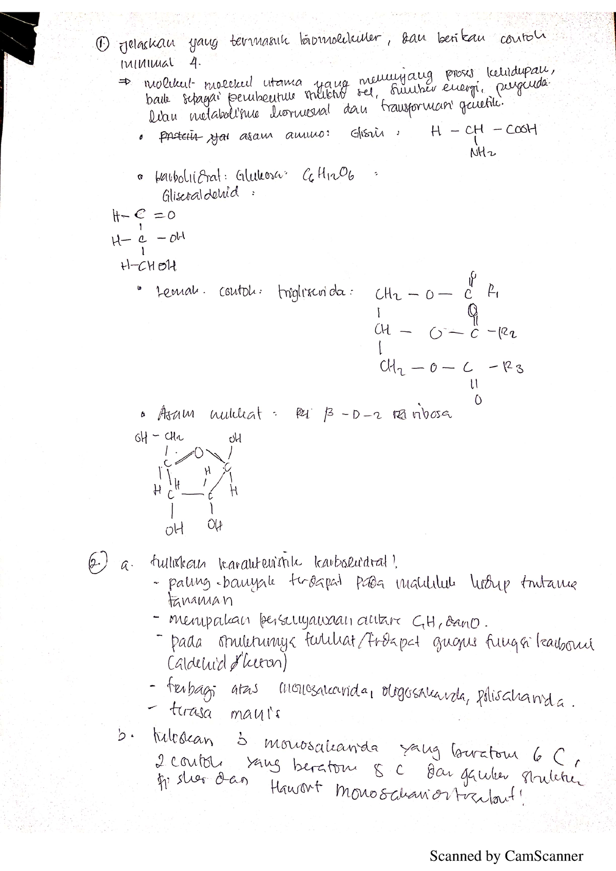 Kimia Dasar Biomolekuler - Studocu