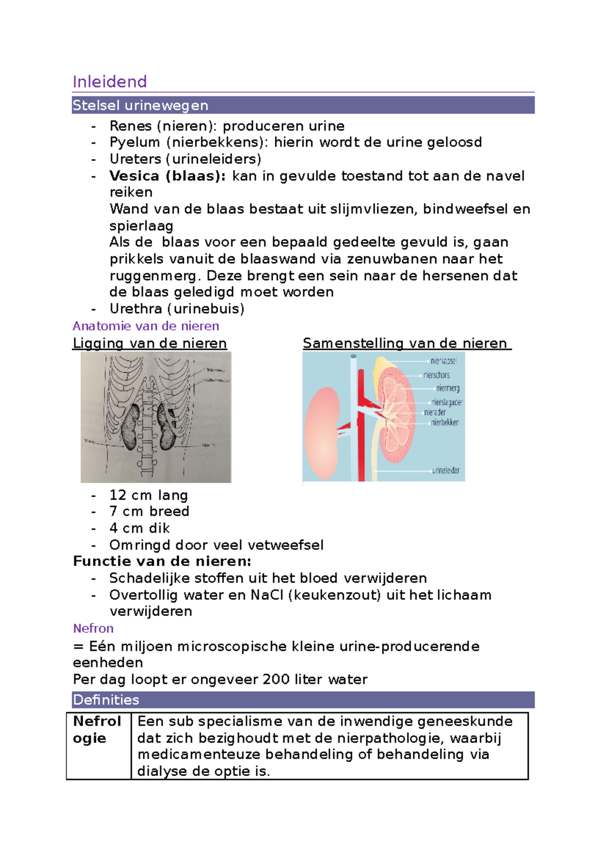 VRHv Pathologie Urologie - Inleidend Stelsel Urinewegen Renes (nieren ...