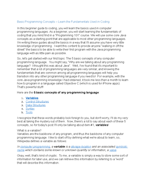 Computer Programming - Environment - What are the basic fundamental ...