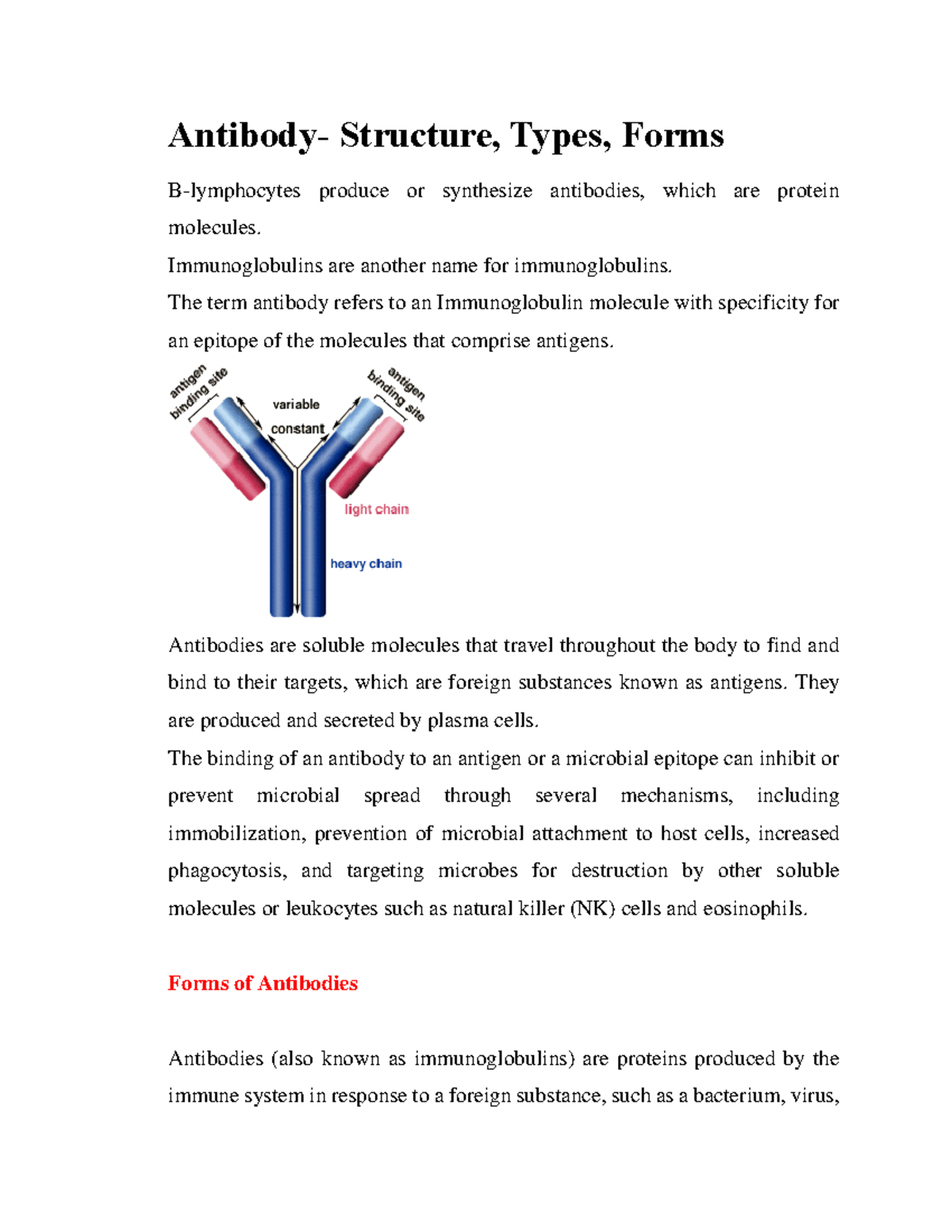 Antibody- Structure, Types, Forms - Antibody- Structure, Types, Forms B ...