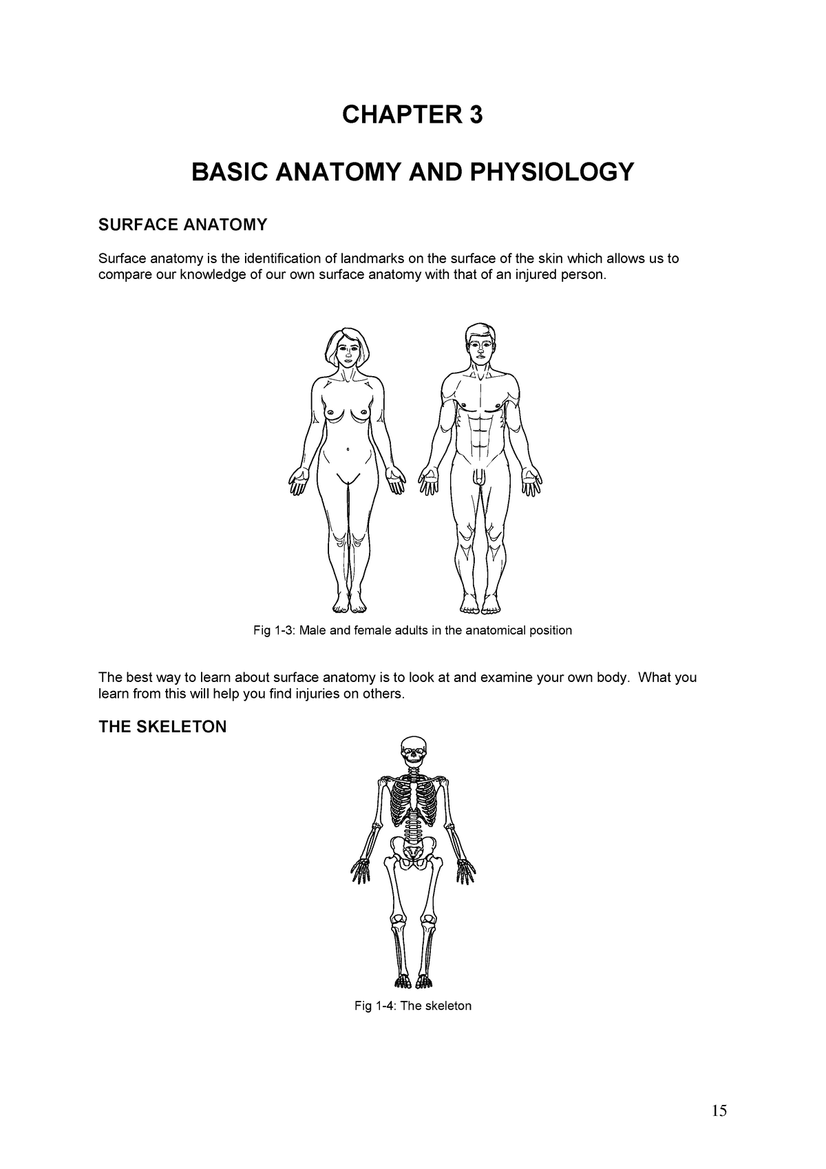 Chapter 3 Basic Anatomy And Physiology - CHAPTER 3 BASIC ANATOMY AND ...