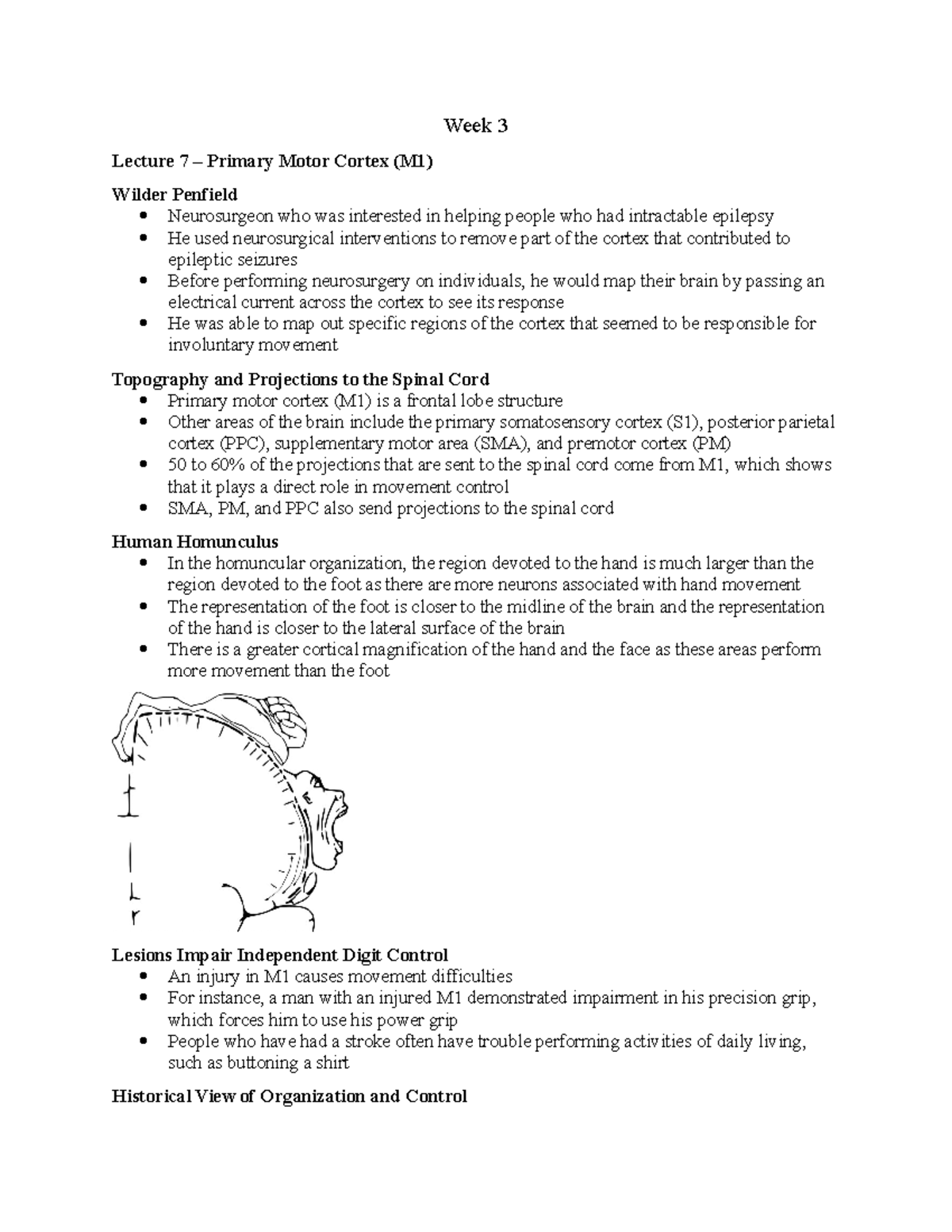 Week 3 Kinesiology 1080B Course Notes - Week 3 Lecture 7 – Primary ...