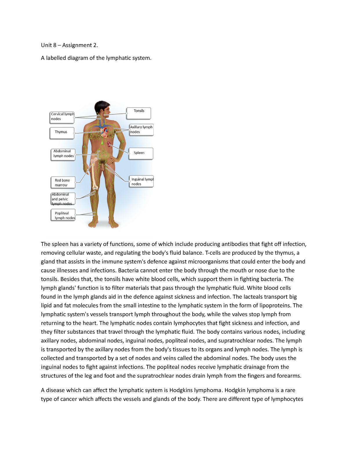 applied science coursework