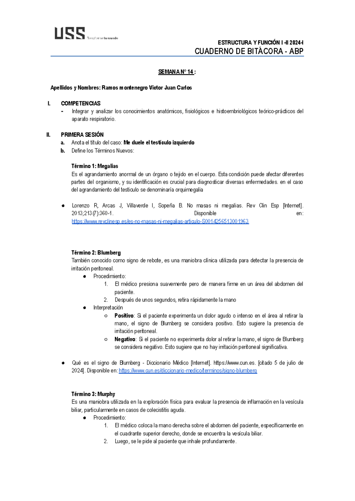 Ramos Montenegro Victor JUAN Carlos A1-II-IV - CUADERNO DE BITÁCORA ...