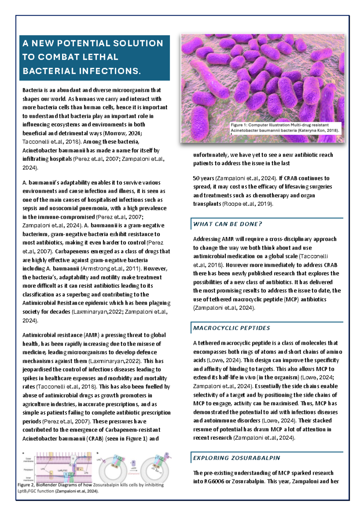 A New Potential Solution to Combat Lethal Bacterial Infections - A NEW ...