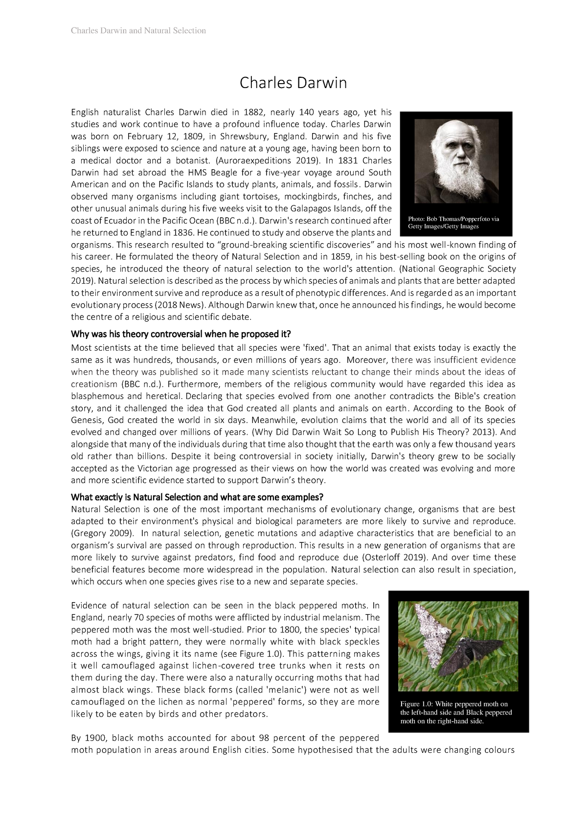 charles darwin natural selection essay