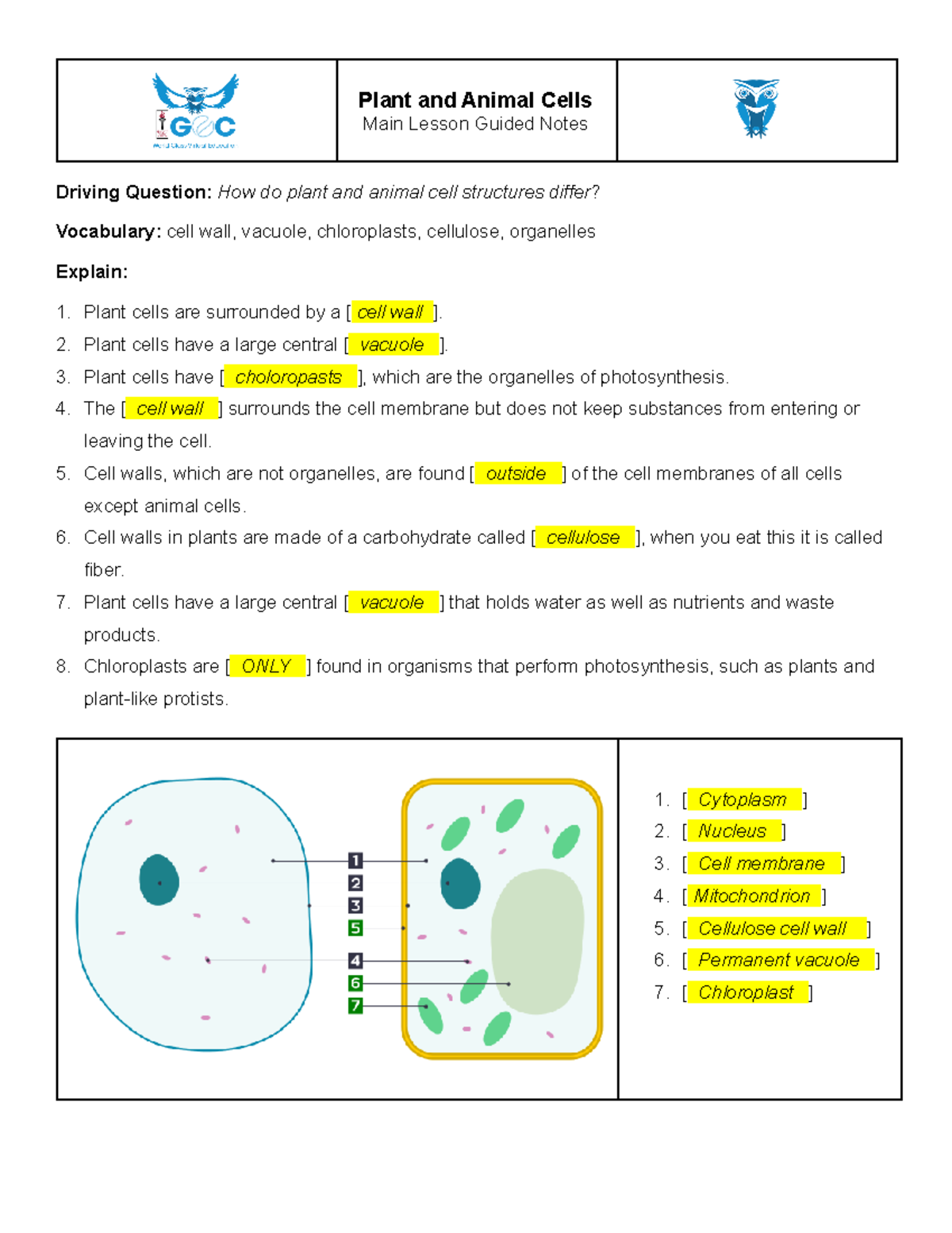 Plant and Animal Cells Guided Notes - Plant and Animal Cells Main