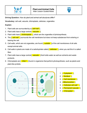 Plant and Animal Cells Guided Notes - Plant and Animal Cells Main Lesson  Guided Notes Driving - Studocu