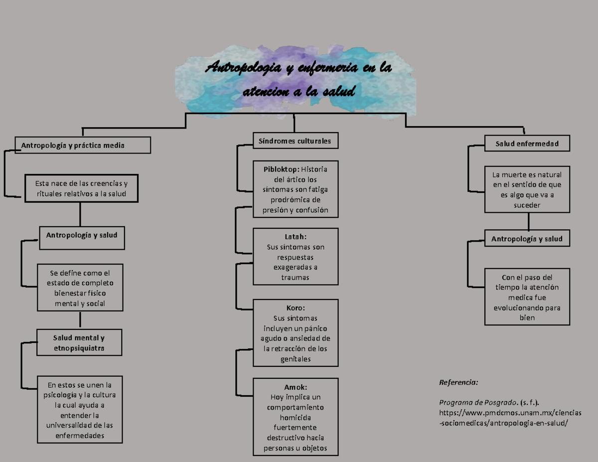 Antropologia y enfermeria Mapa - Antropologia y enfermeria en la