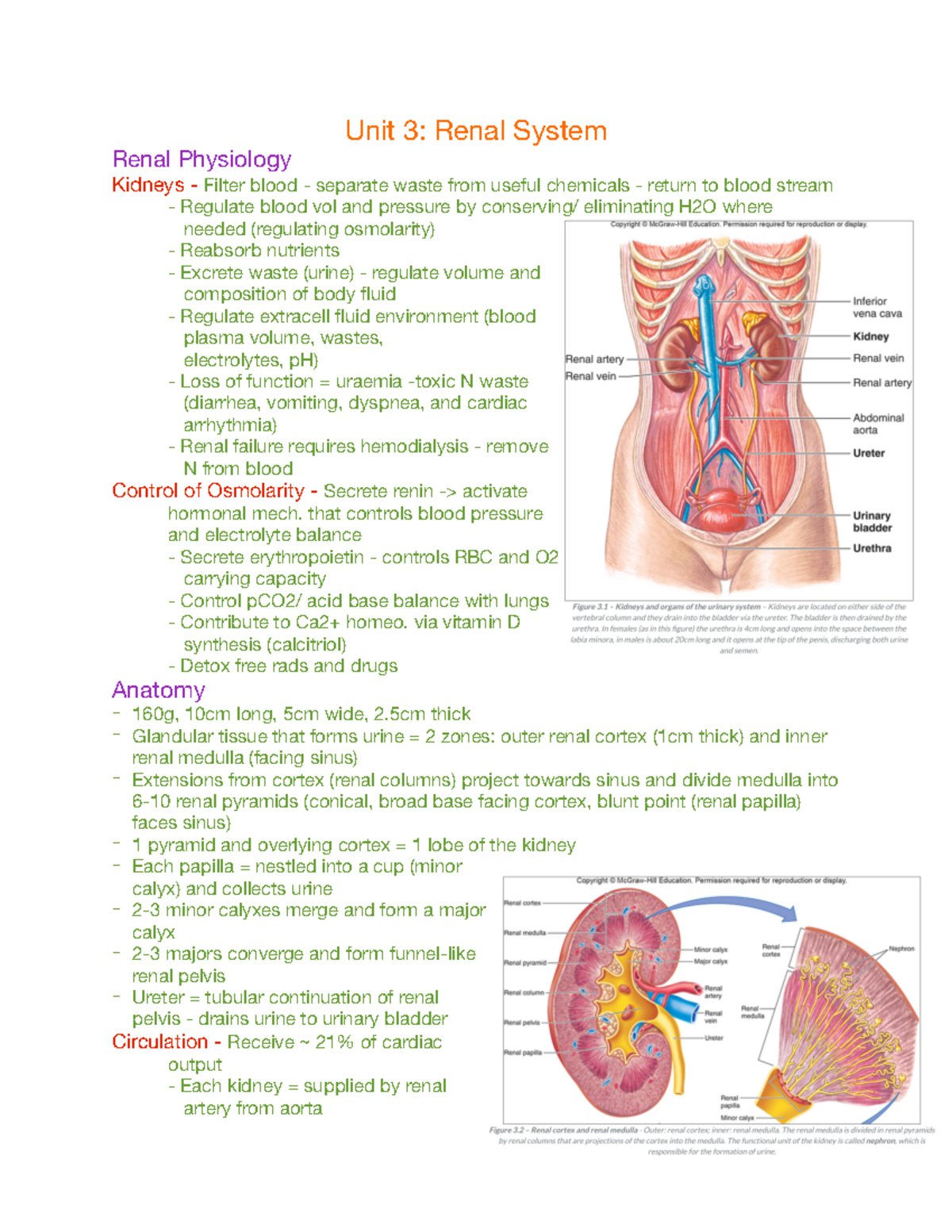Unit 3; Renal System - notes - Unit 3: Renal System Renal Physiology ...