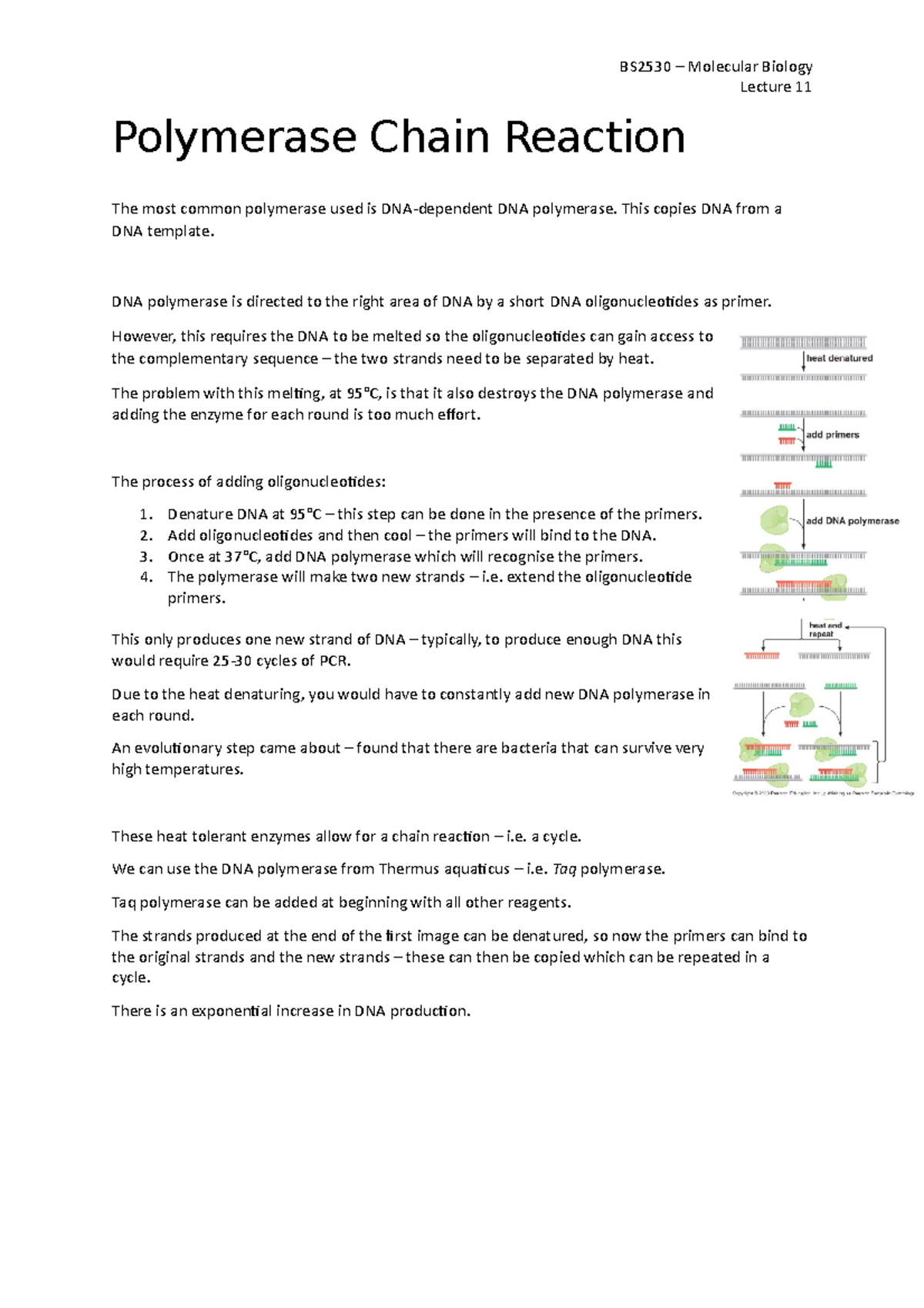 11 - Polymerase Chain Reaction - BS2530 – Molecular Biology Lecture 11 ...