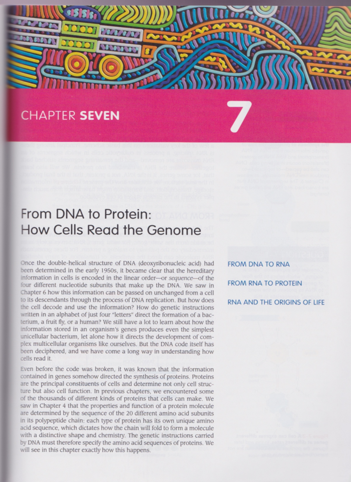 Chapter 7 DNA to Protein - commercial law - Studocu