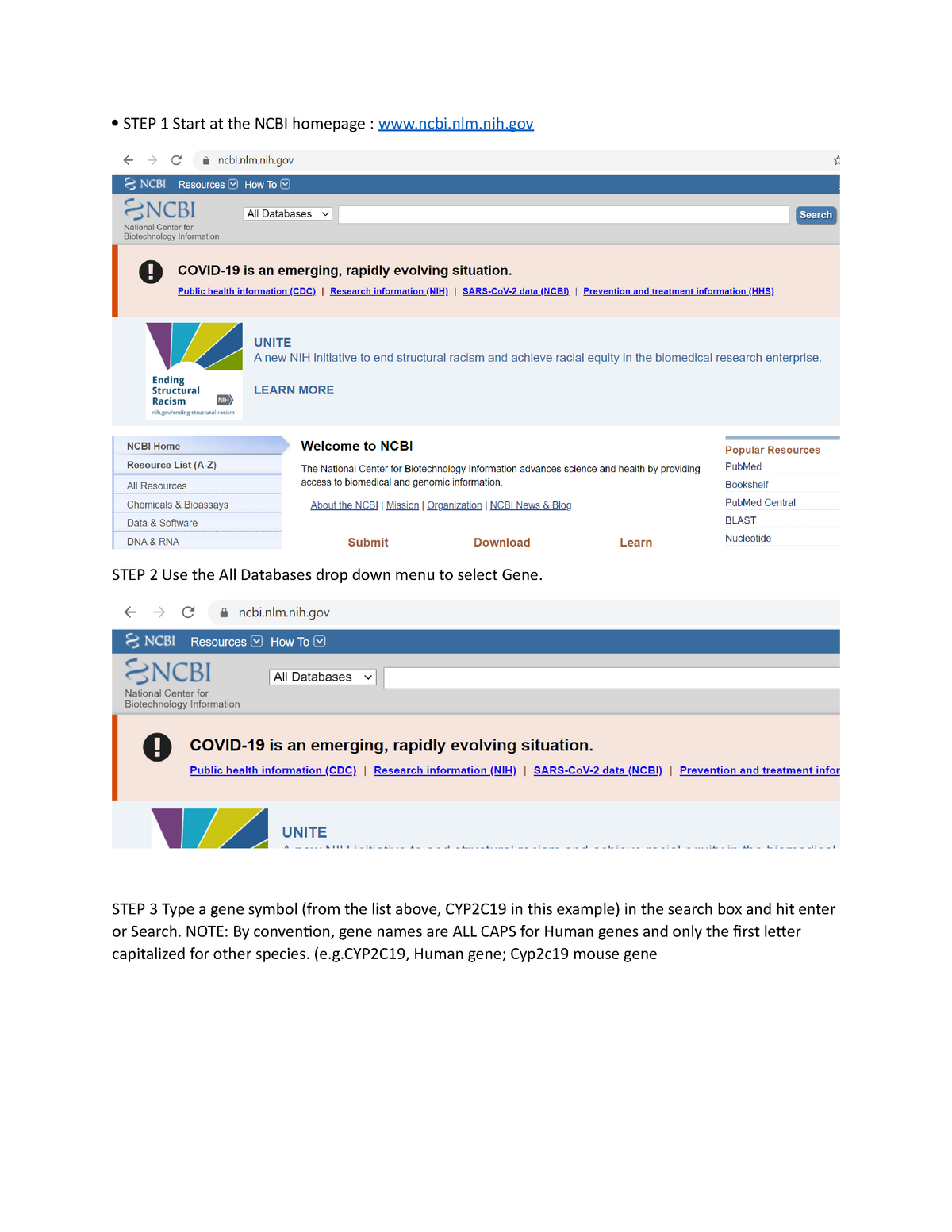 bioinformatics assignments