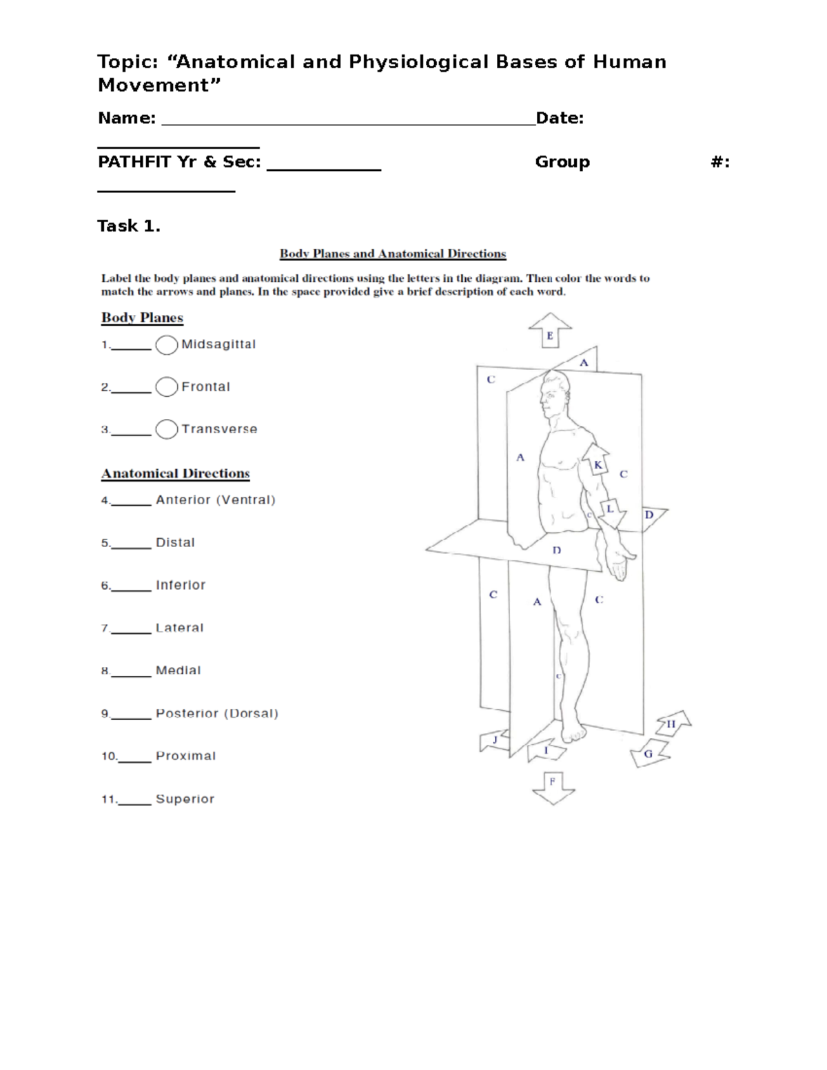 Worksheet-1 - notes - Topic: “Anatomical and Physiological Bases of ...