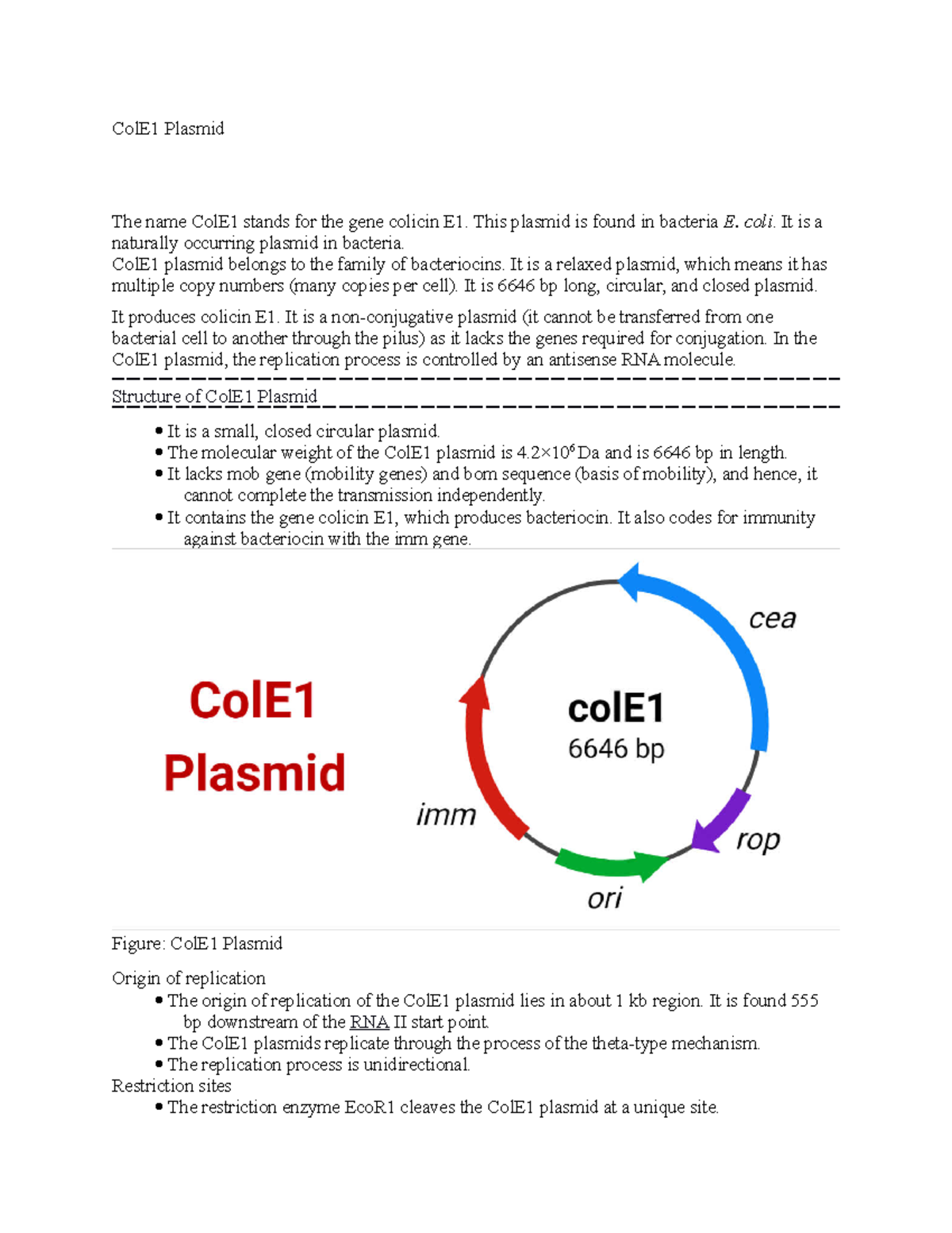 Col E1 Plasmid Notes ColE1 Plasmid The Name ColE1 Stands For The