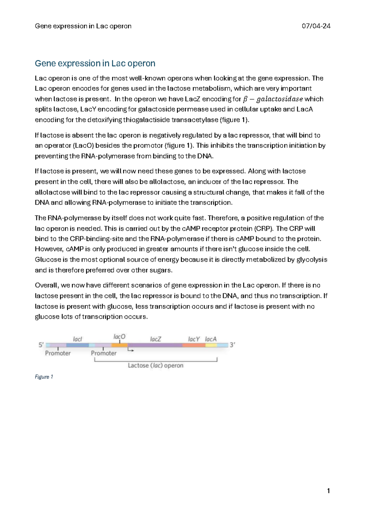 Afl. 3-Gene expression in Lac operon - Gene expression in Lac operon 07 ...