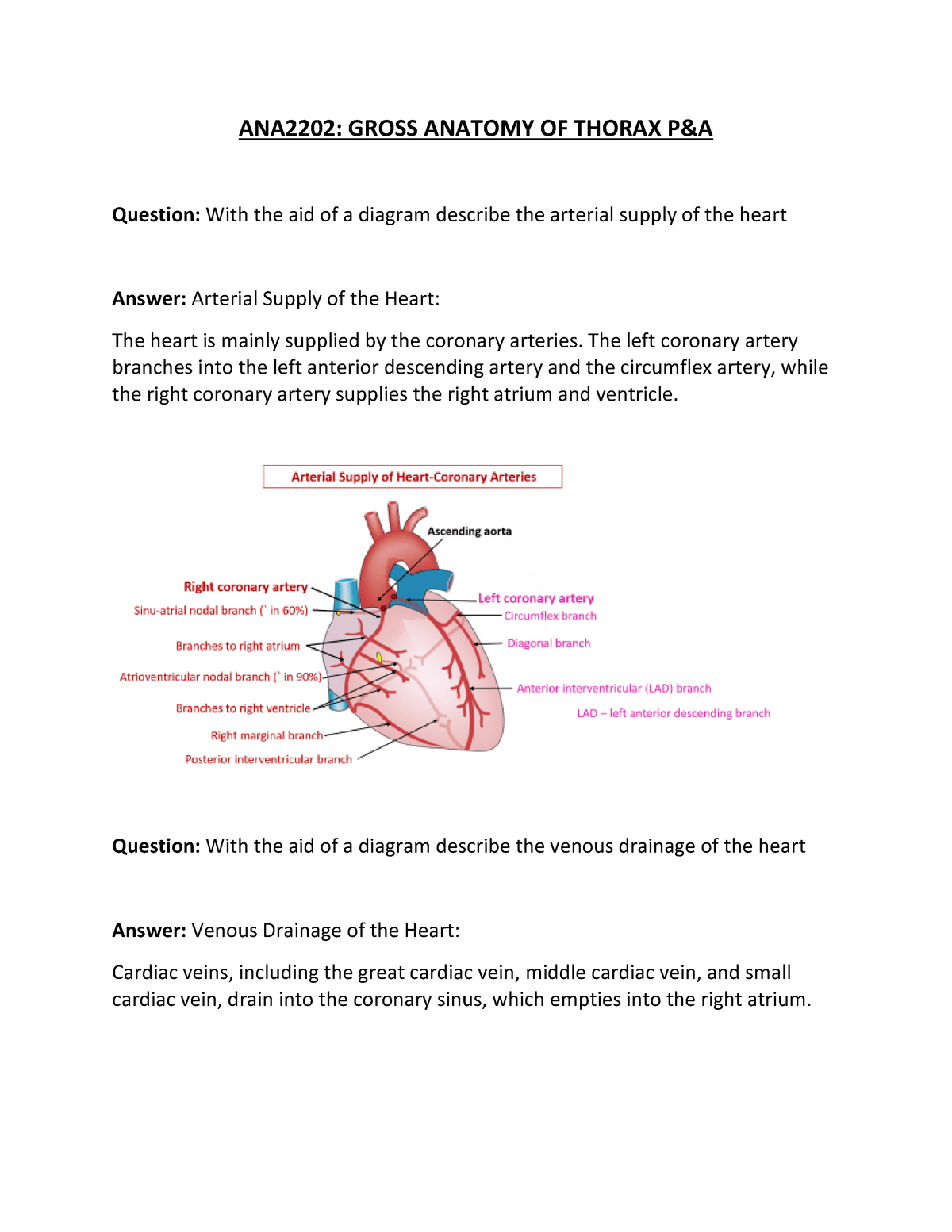 ANA2202 Gross Anatomy OF Thorax P&A - ANA2202: GROSS ANATOMY OF THORAX ...