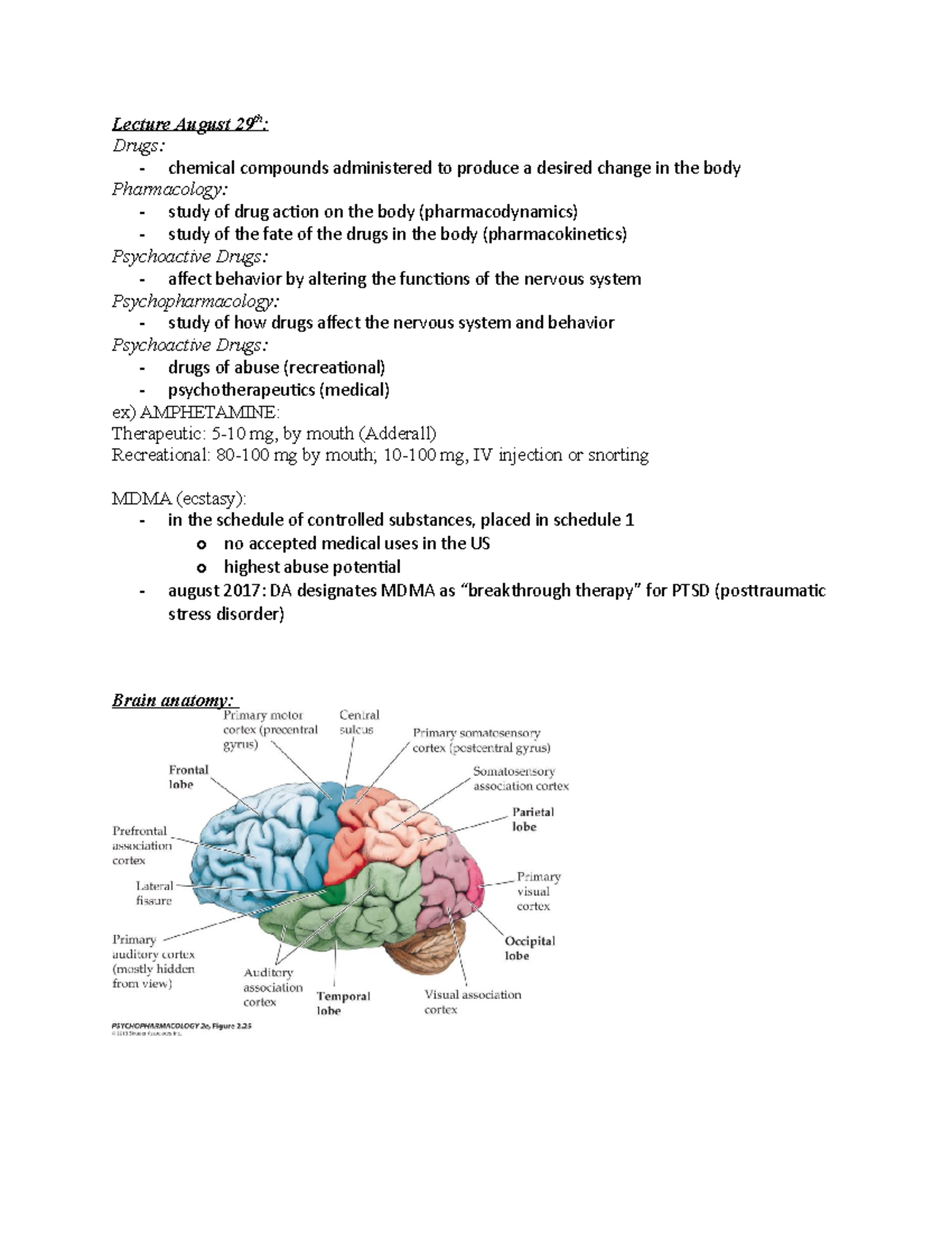 Drugs and behavior notes - Lecture August 29th: Drugs: - chemical ...