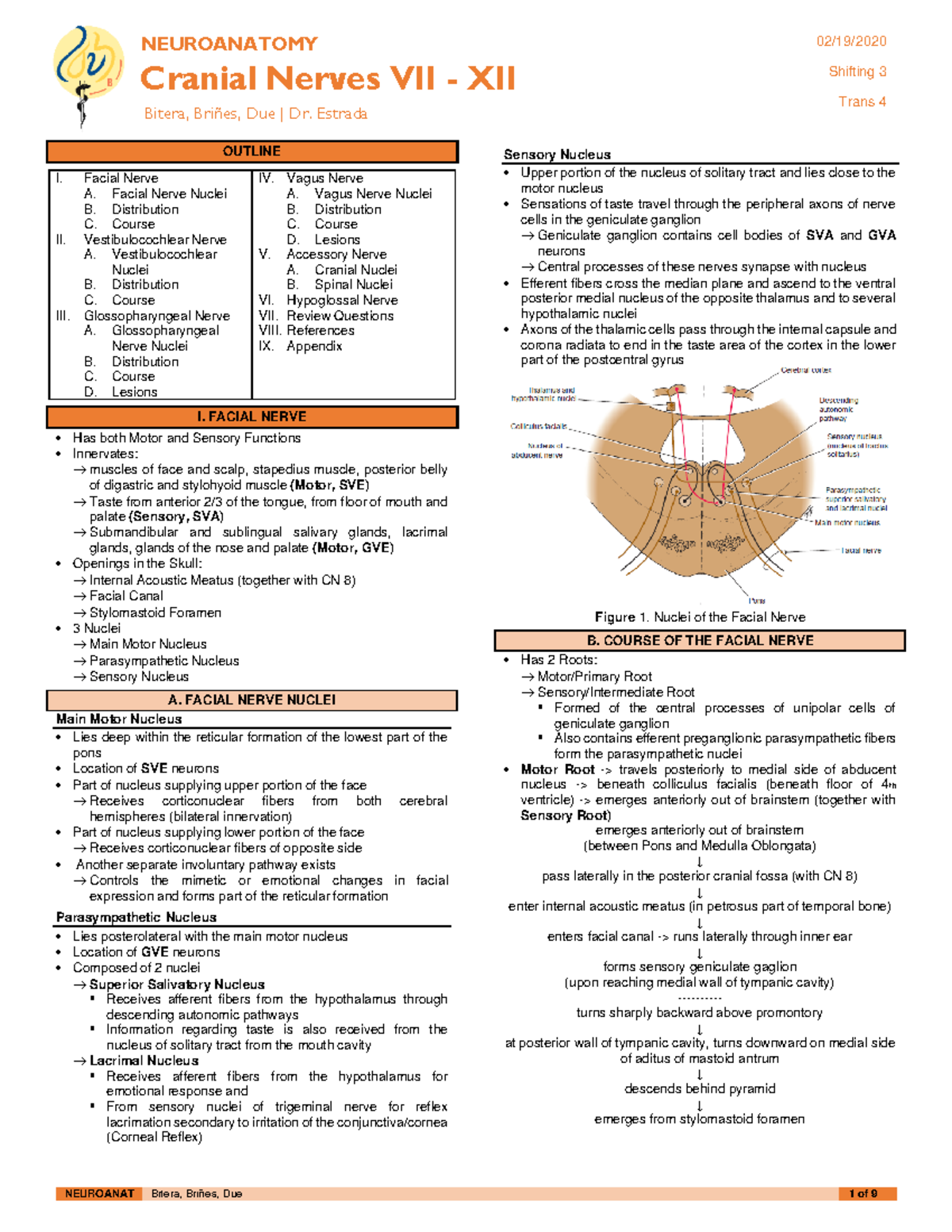 NEUR-B-S03-T04-Cranial Nerves VII-XII - NEUROANAT Bitera, Briñes, Due 1 ...