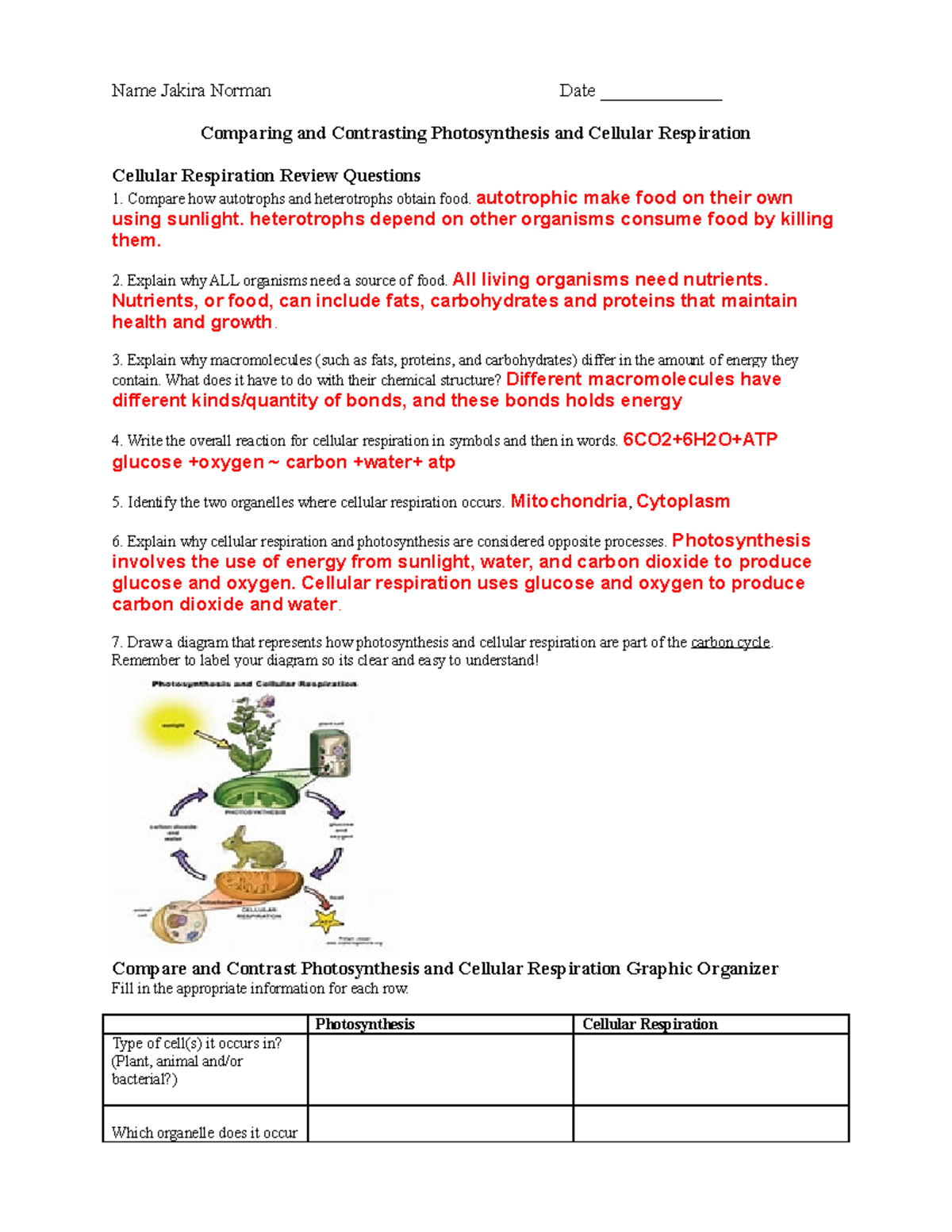 Comparing And Contrasting Photosynthesis And Cellular Respiration 