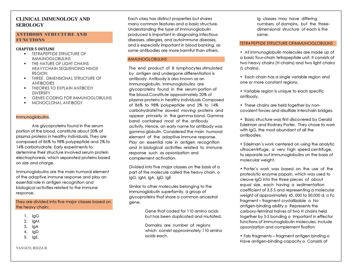 Chapter 5 Antibody Structure and Function (RBY) - YANGCO, RIZZA B ...