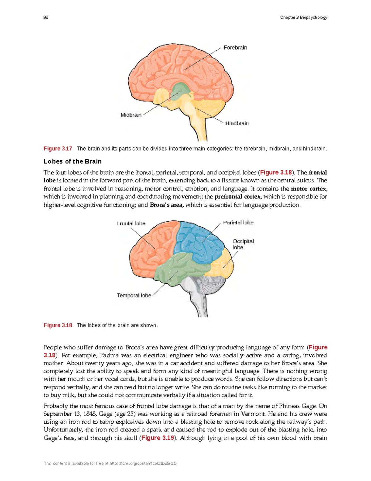 Psychology-LR-34 - Psychology-LR - Figure 3 The brain and its parts can ...