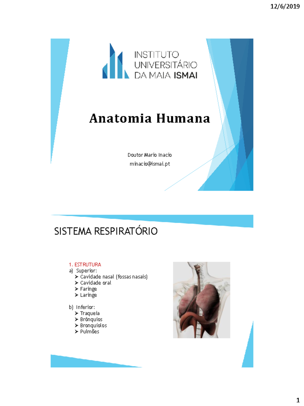 Sistema Respiratorio - Anatomia Humana Doutor Mario Inacio minacio ...