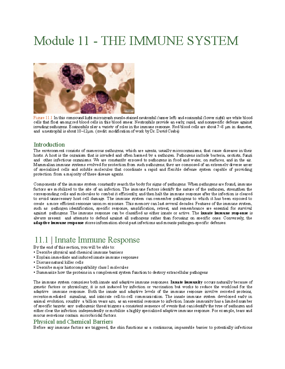Module 11 - The Immune System - Module 11 - THE IMMUNE SYSTEM Figure 11 ...