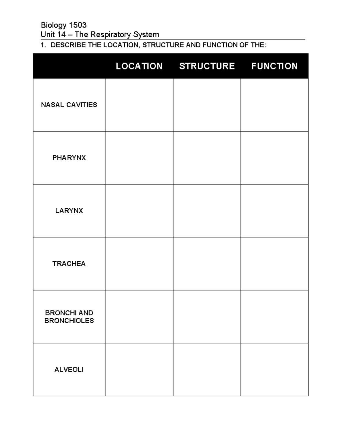 Notes Unit 14 - The Respiratory System - Unit 14 – The Respiratory ...