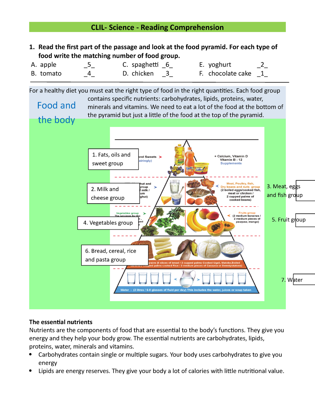 food-pyramid-word-worksheet-clil-science-reading-comprehension-1-read-the-irst-part-of-the