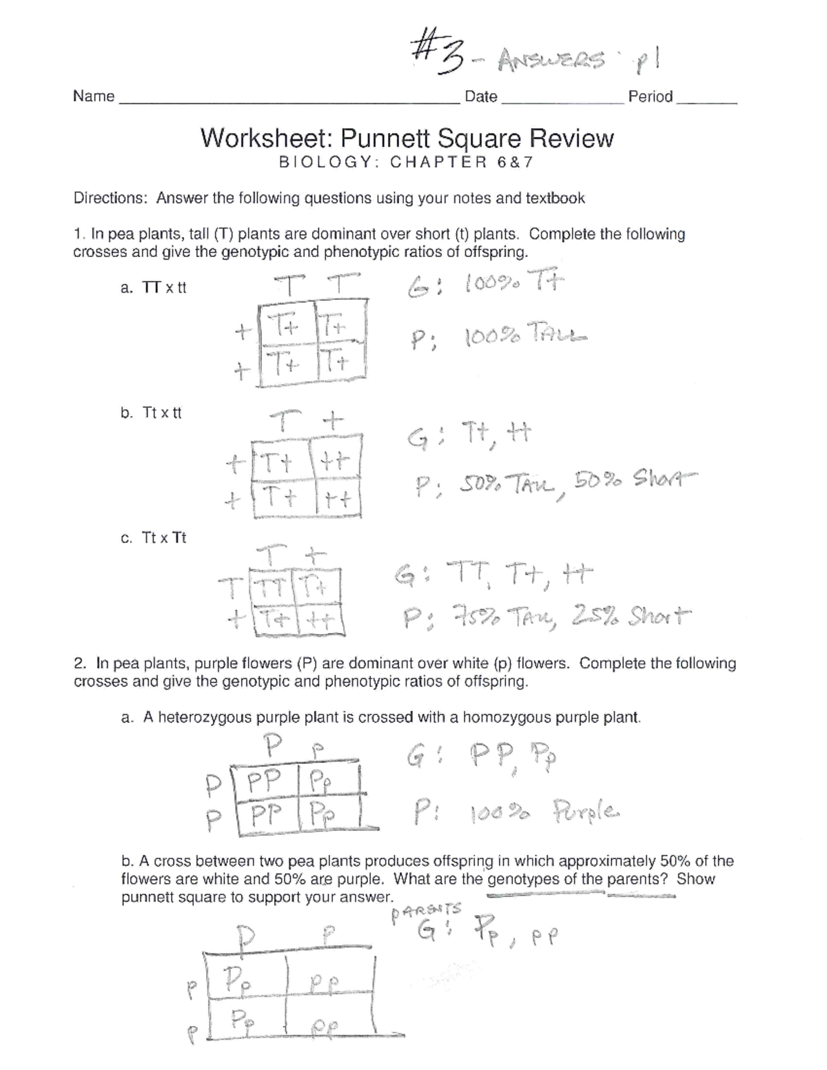 Review Packet 3 Answers 2016 - Studocu