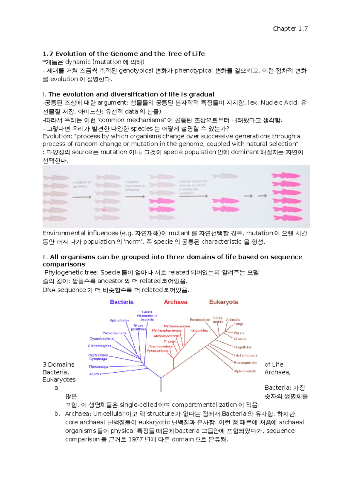 Molecular Biology Note 1 - Chapter 1 1 Evolution Of The Genome And The ...