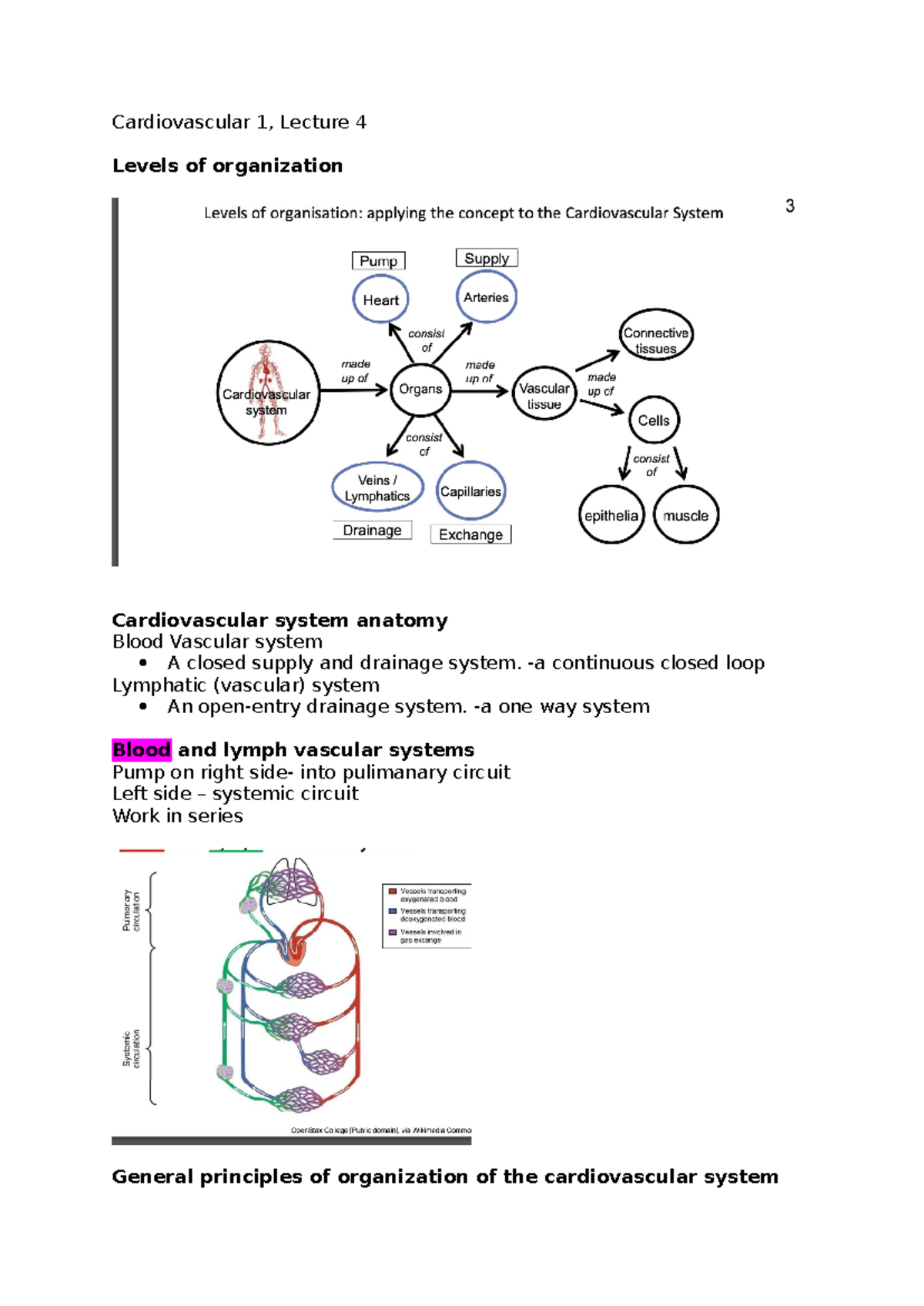 Cardiovascular 1, Lecture 4 - Cardiovascular 1, Lecture 4 Levels of ...