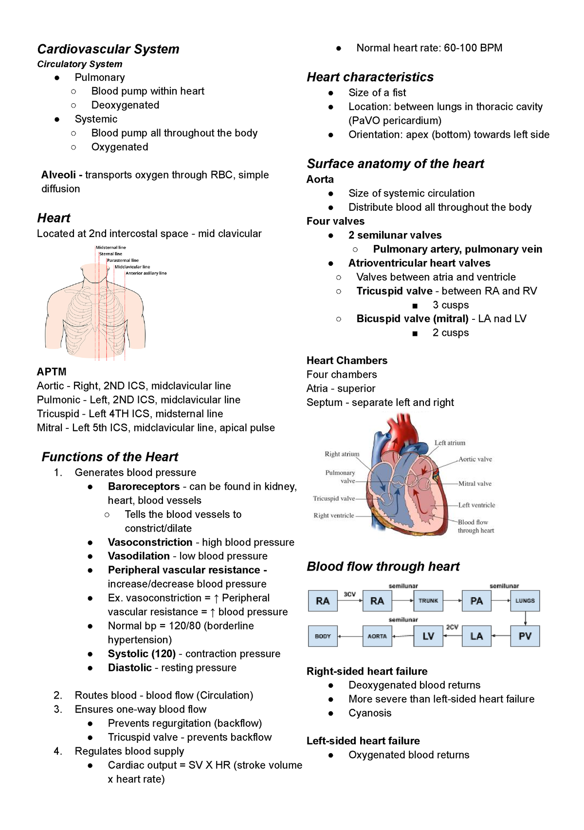 Cardiovascular System - Cardiovascular System Circulatory System ...