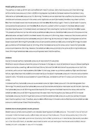 Week 1-4 revision worklist - Week 1-4 revision Description Example ...