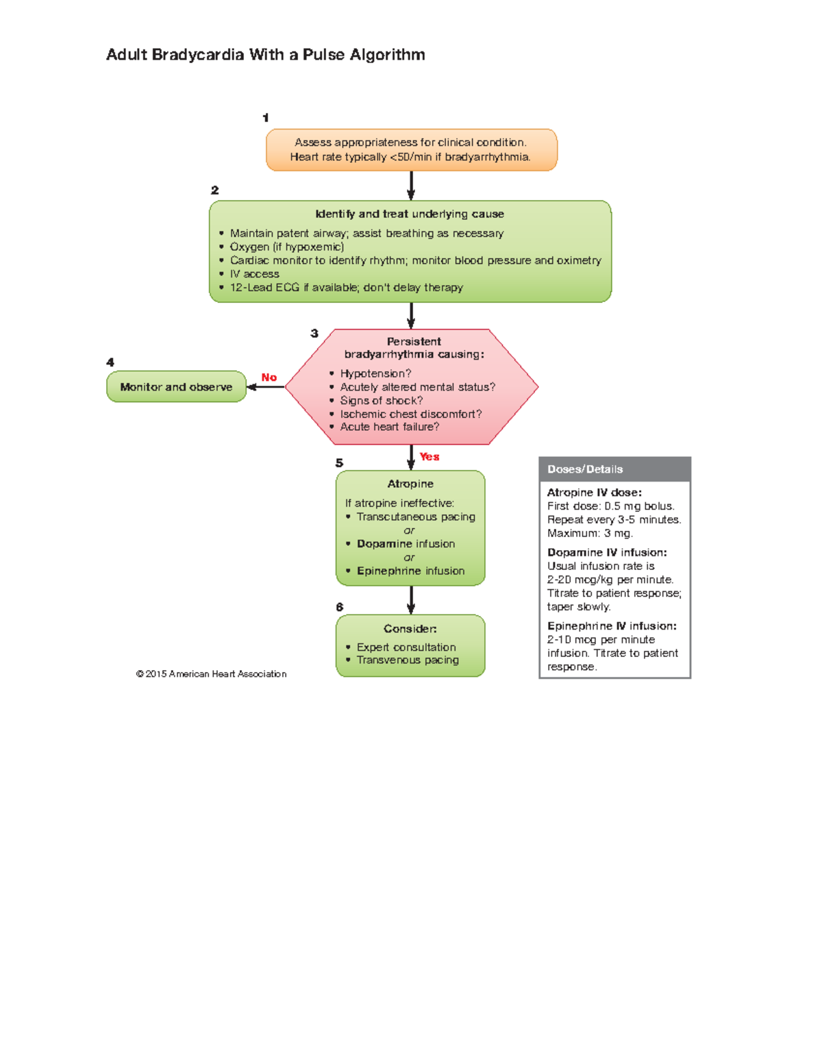 AHA ACLS-Bradycardia-Algorithm - Adult Bradycardia With a Pulse ...