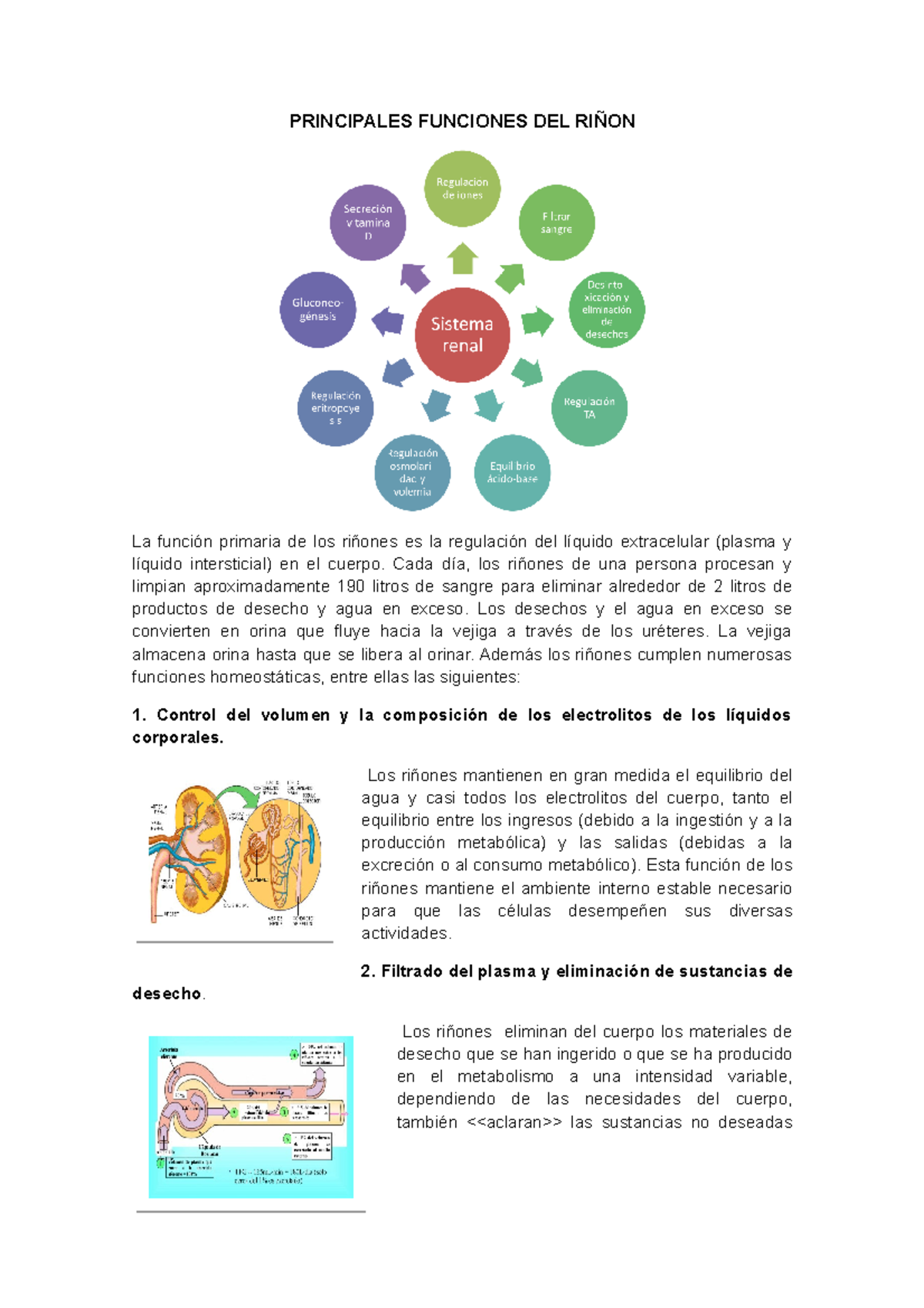 Principales Funciones DEL Riñon PRINCIPALES FUNCIONES
