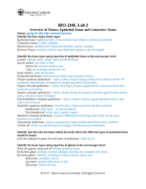 BIO-210L Lab 5 - Axial Skeleton Workbook - BIO 210 LAB: AXIAL SKELETON ...