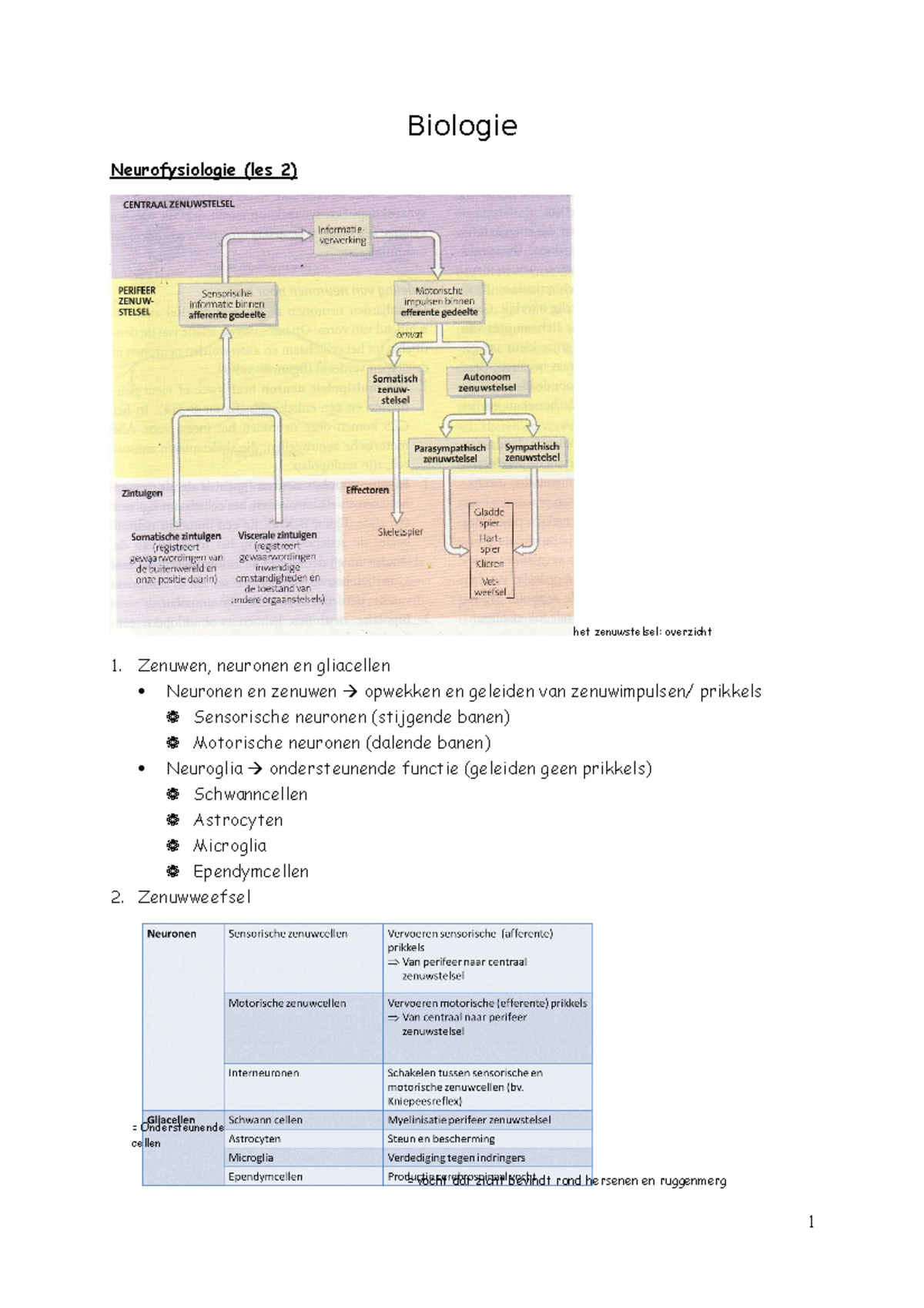 Biologie - Lecture Notes 1-3 - Biologie Neurofysiologie (les 2) Het ...