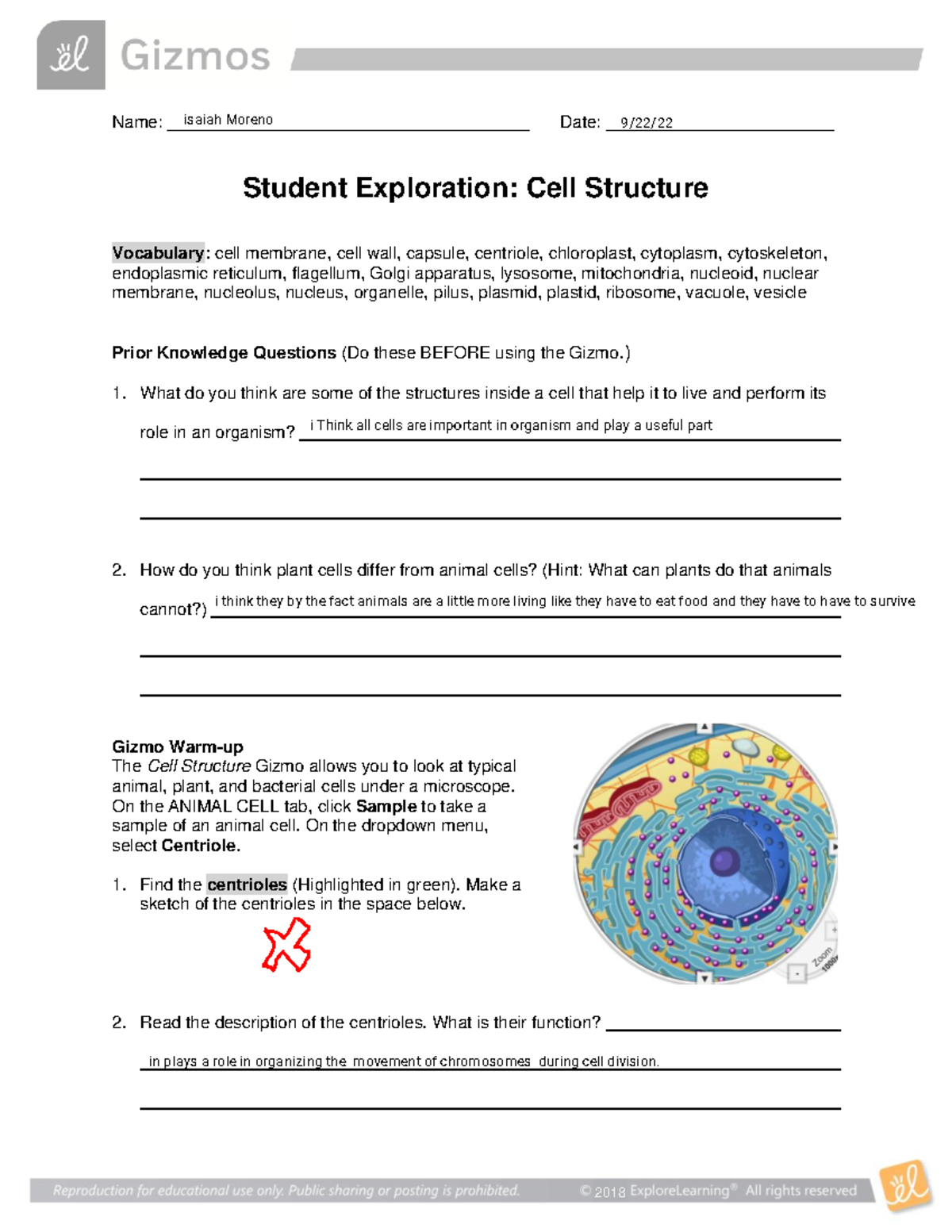 Isaiah Moreno - Cell Structure Gizmo - Name ...