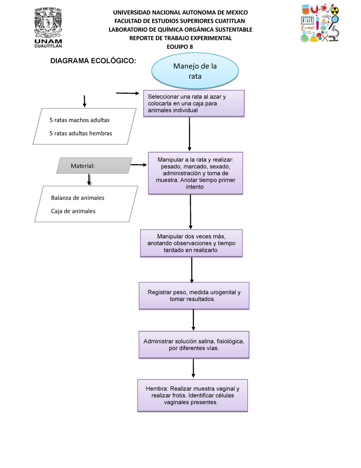 Diagrama De Flujo Manejo De La Rata Diagrama EcolÓgico Universidad Nacional Autonoma De 2163