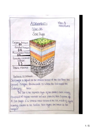 Summit Academy Loves Art!: Fourth grade soil profile paintings