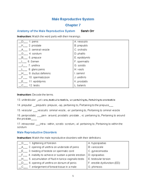 AHP105 Wk4 Assignment - Gastrointestinal System Chapter 5 Word Part ...