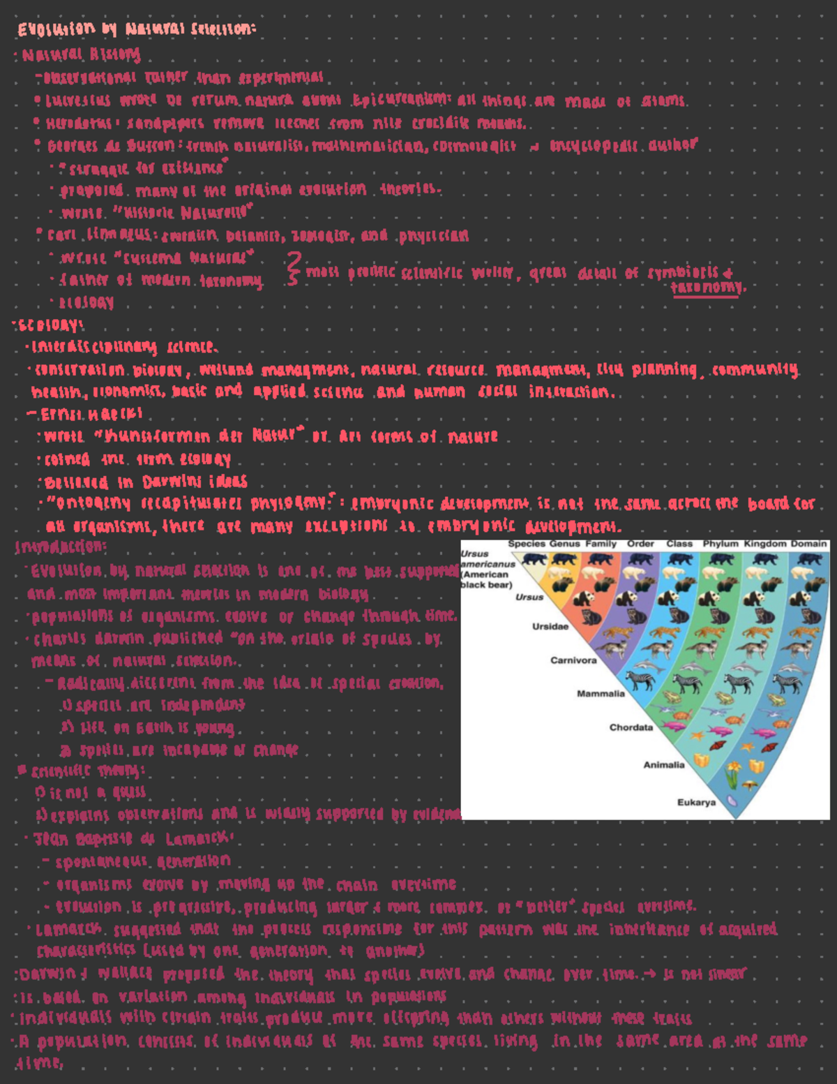 Evolution by Natural Selection - Evolution by Natural selection ...