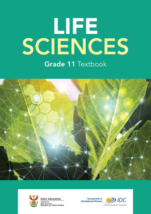 exemplar grade 11 assignment life science