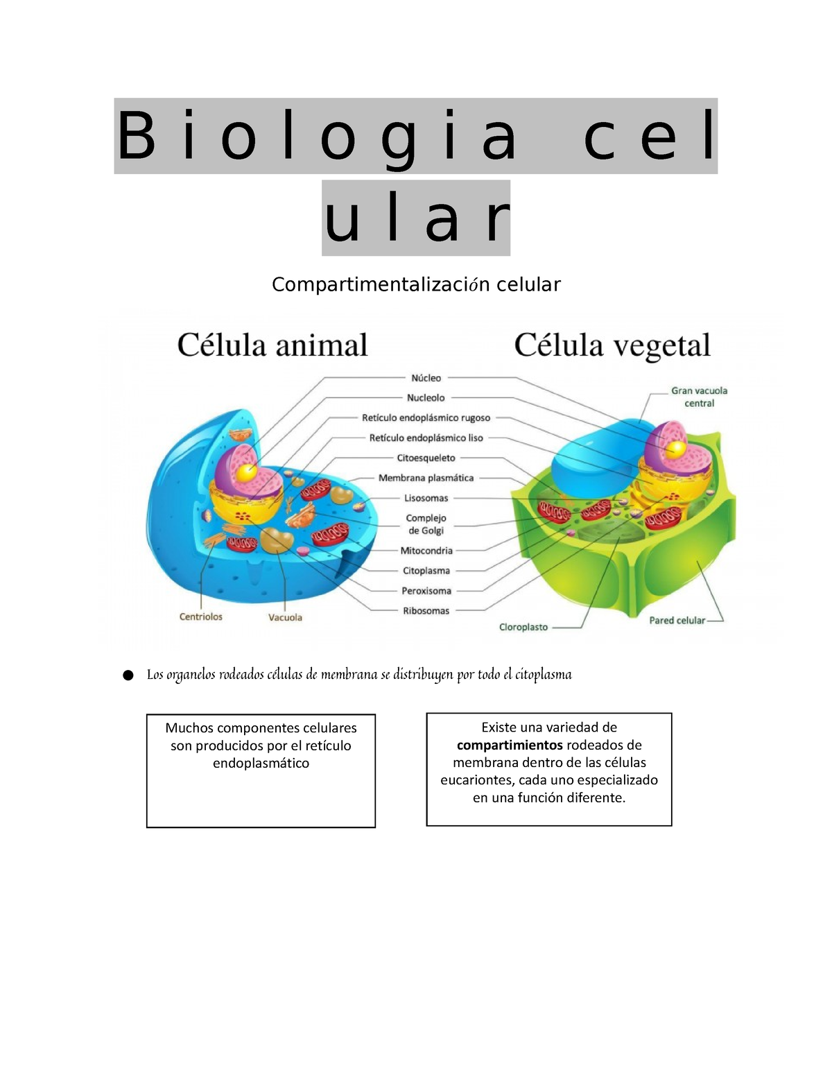 B I O L O G I A C E L U L A R 2 - Resumen Clases Biología Celular - B I ...